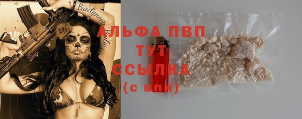 спайс Елизово