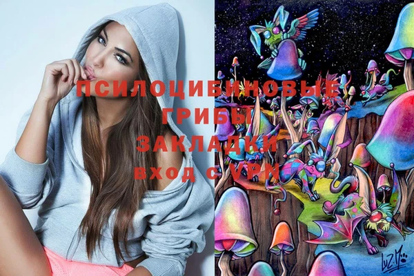 спайс Елизово