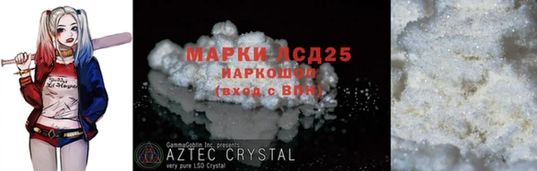 прущие грибы Дмитровск