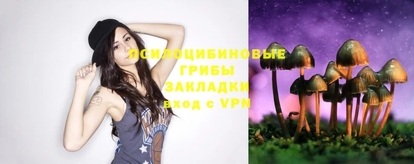 спайс Елизово