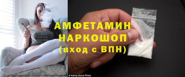 тгк Дмитриев