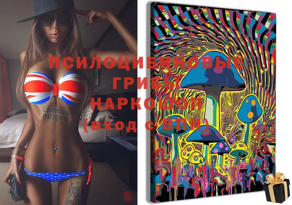 тгк Дмитриев