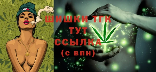 гидропоника Елабуга