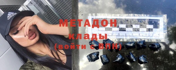 тгк Дмитриев