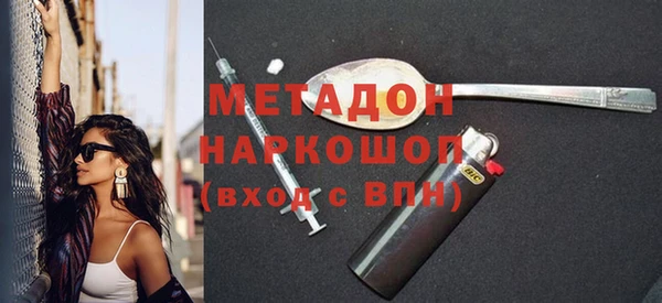 прущие грибы Дмитровск
